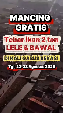 Mancing gratis di sungai kali gabus,tebar ikan 2 ton,ikan lele dan bawal #mancing #mancinggratis #tebarikanlele #tebarikandisungai #kaligabus 
