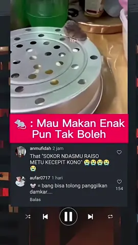 🐭: halo bang 🤣🤣🤣🤣 #memelucuindonesia #funnyvideos #tiktok #funnyvideoscomedy #funnyvideo 