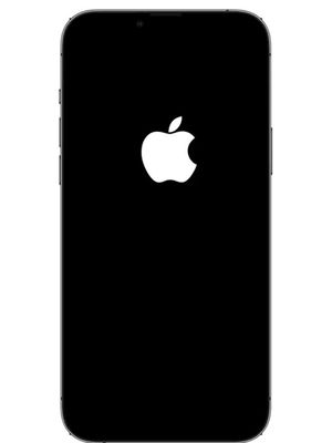 New amazing app. Try it now!