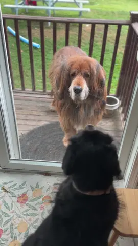 Lil switcherooo