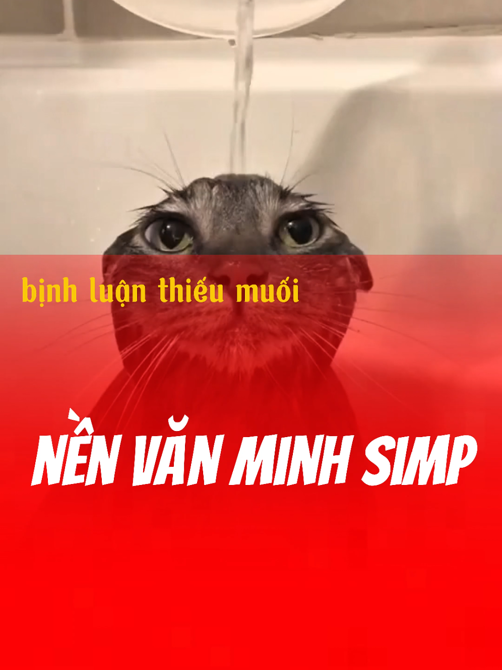 nền văn minh simp #xuhuong #viral #binhluanthieumuoi #trendvietnam 