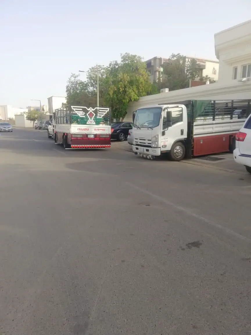 #دينات #المدينه #ارشيف #المدينه_المنوره_الان #ايسيزو 
