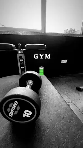 Have a powerful day 🔋 . . . . #fitnessmotivations💪 #fitnessmotivationsdaily #gymratsbelike #gymratsfit #gymratsfam                          