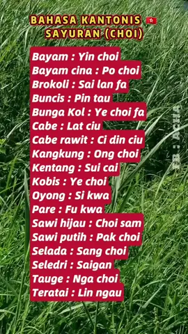 Sayuran (Choi) dalam bahasa kantonis Hongkong  #fyp #pmihongkong🇭🇰🇮🇩 #bahasakantonis #bahasahongkong #belajarbahasakantonis 
