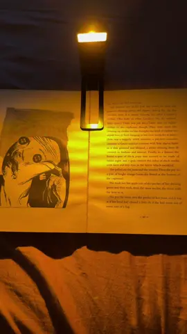an essential for night time readers. #BookTok #bookaccessories #booklight #books #reader 