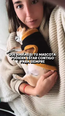 Qué harías si tu mascota pudiera estar contigo para siempre? Porque ellos siempre viven en nosotros ❤️‍🔥 Pijamas personalizados con tu mascota 🐾 Donamos $1.000 por cada pijama vendido ❤️‍🩹 #perros #petlover #emprendimientochileno #mascotas #mascotaschile 