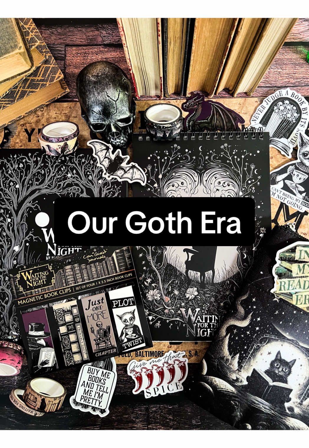 This is your sign to romanticize your goth era 🦇 — Because nothing says “self care” like annotating your trauma in a spooky-cute notebook. 🕯️ #GothGirlReads #waitingforthenight #darkromance #gothera 