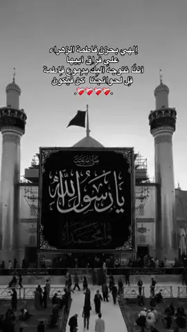 #استشهاد_النبي_الأعظم #استشهاد_الرسول 
