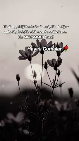 #hayırlıcumalar🌹🌺🌺🌷💖 #cumamızmübarekolsun #cuma #engüzelcumamesajları2025 #aminyarobalallamin🤲🏻 
