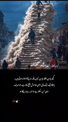 کُچھ یادیں فقط یادیں نہیں #makeitviral #viewsproblem #unfrezzmyaccount #growmyaccount #urdupoetry 