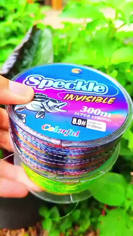 🎣 Strike Terus Tanpa Curiga! Senar INVISIBLE BingoLife bikin ikan gak nyadar... #SenarPancing #StrikeTerus #PancingMania #FishingIndonesia #BingoLife 