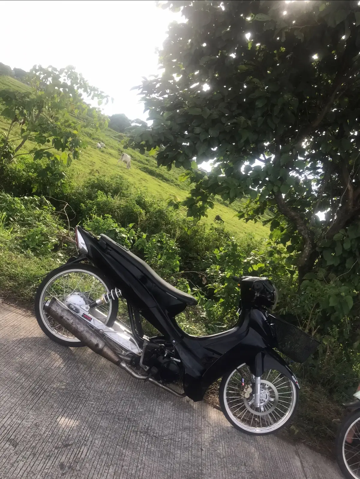 #symthailook #foryoupage #streetbikeconceptproject🇹🇭 #fyp #fypppppppppppppppppp 