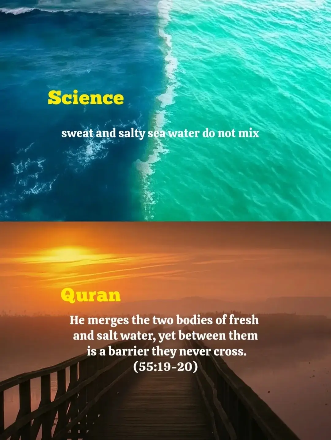 #muslimtiktok #deenoverdunya #quran #science #turnbacktoAllah 