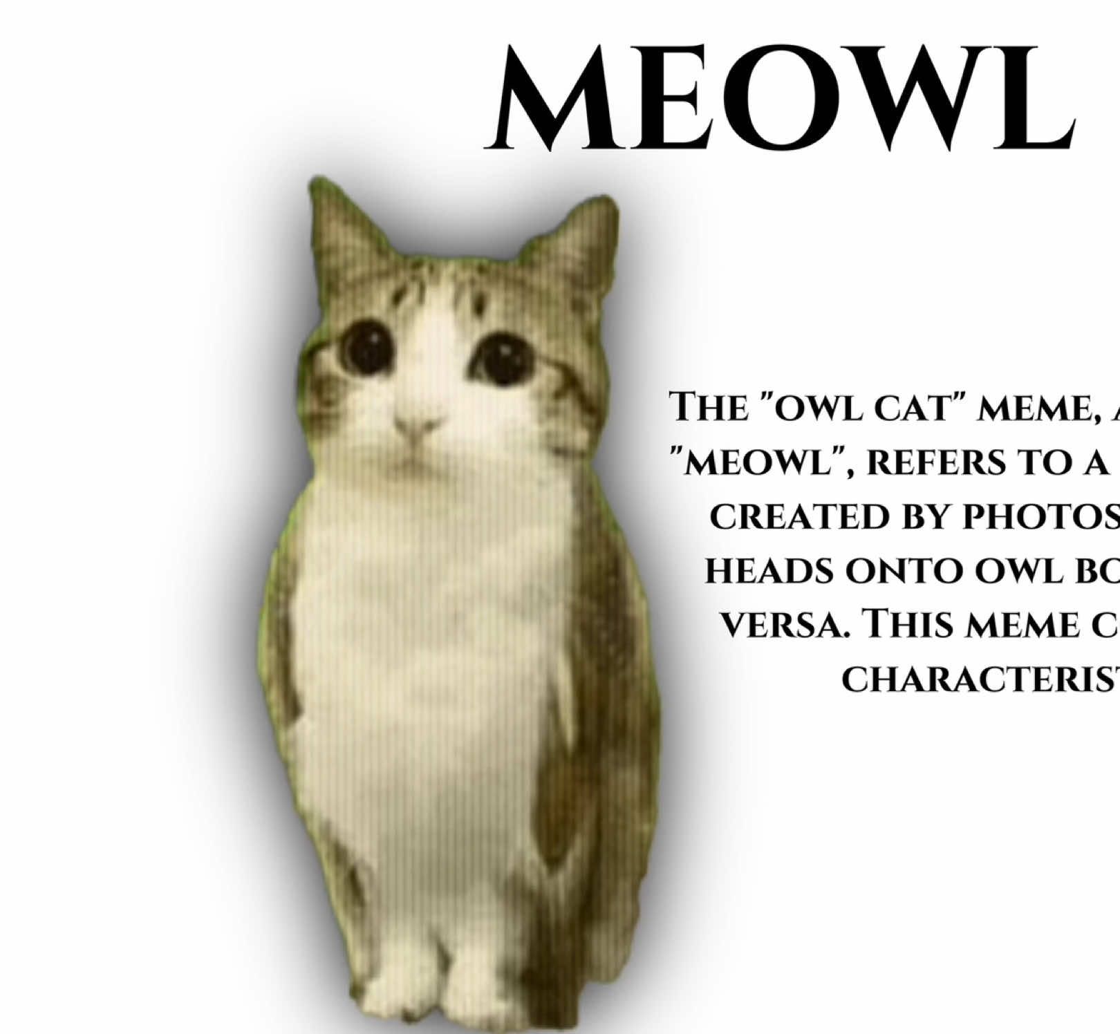 I didn’t know someone already made this 💔  #fyp #fypシ #xyzbca #meowl 
