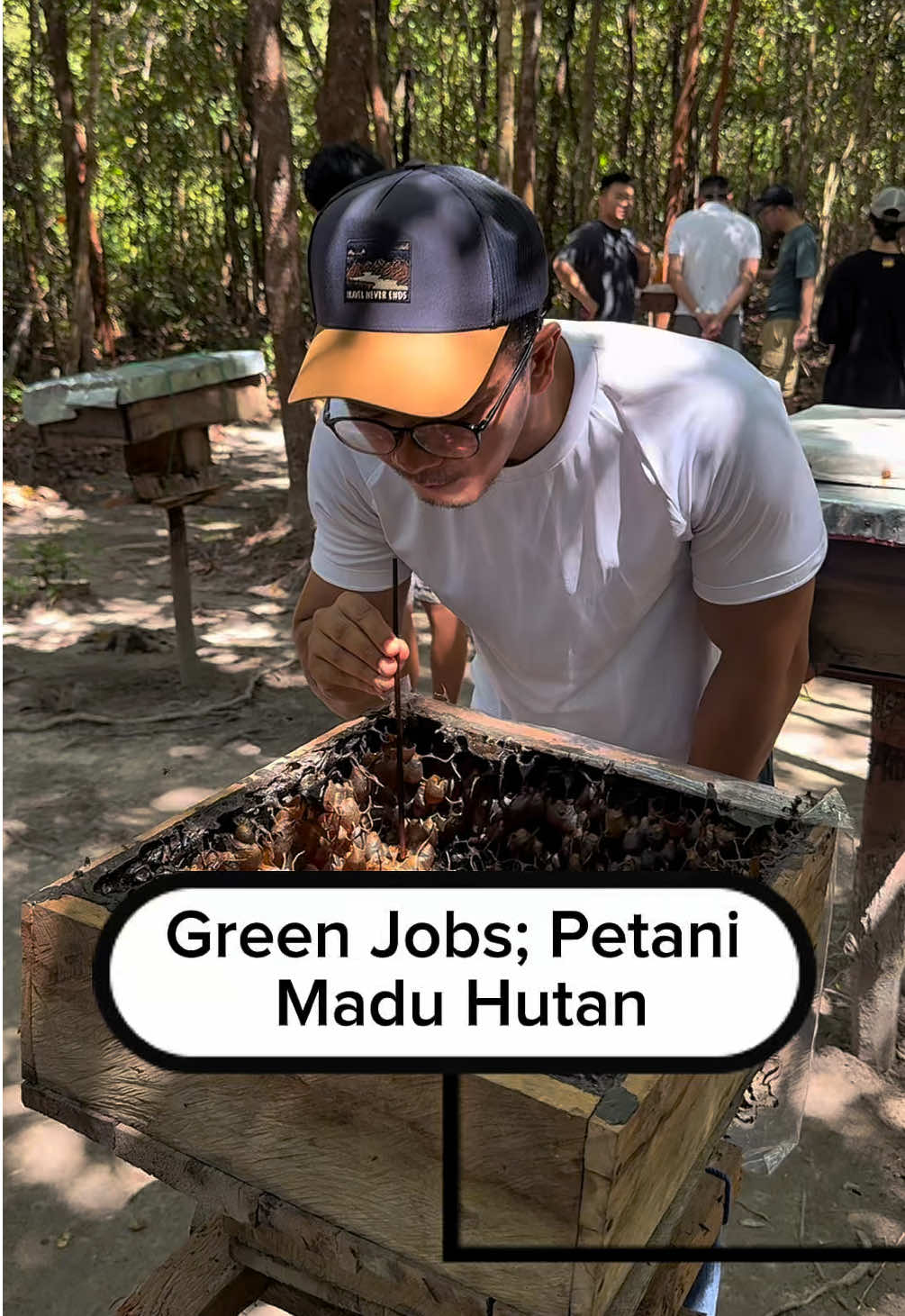 #greenjobs juga ada di tengah hutan #belitung , ini komunitas pelabo sijuk ini bekerja di area 10 hektar hutan dan memelihara lebah trigona untuk dipanen madu nya. Petani madu hutan = Penjaga biodiversitas hutan. Ada yang tertarik bekerja di green jobs? . #climateaction #VerifiedChampions  #madutrigona 