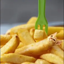 La la la la la #fyp #me #catfood 