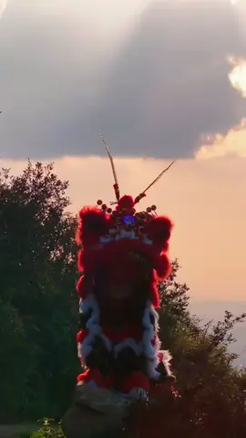 #推荐 #热门视频亿万流量第一 #热门 #经典 #artistsoftiktok #liondance #mualanmientay #catsoftiktok #lsrvietnam #lsrvietnam🐉🐲 #TikTokLearningCampaign #舞狮 #舞狮表演 