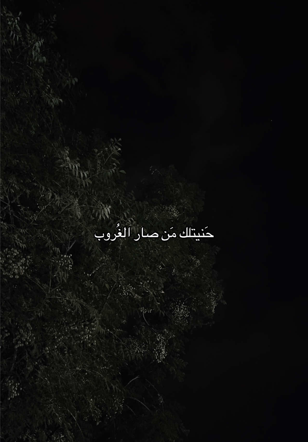 حنيتلك من صار الغروب ؟ #قوالب_تيك_توك_جديده #قوالب_تيك_توك #قالب_تيك_توك #قالب_تيك_توك_جديد 