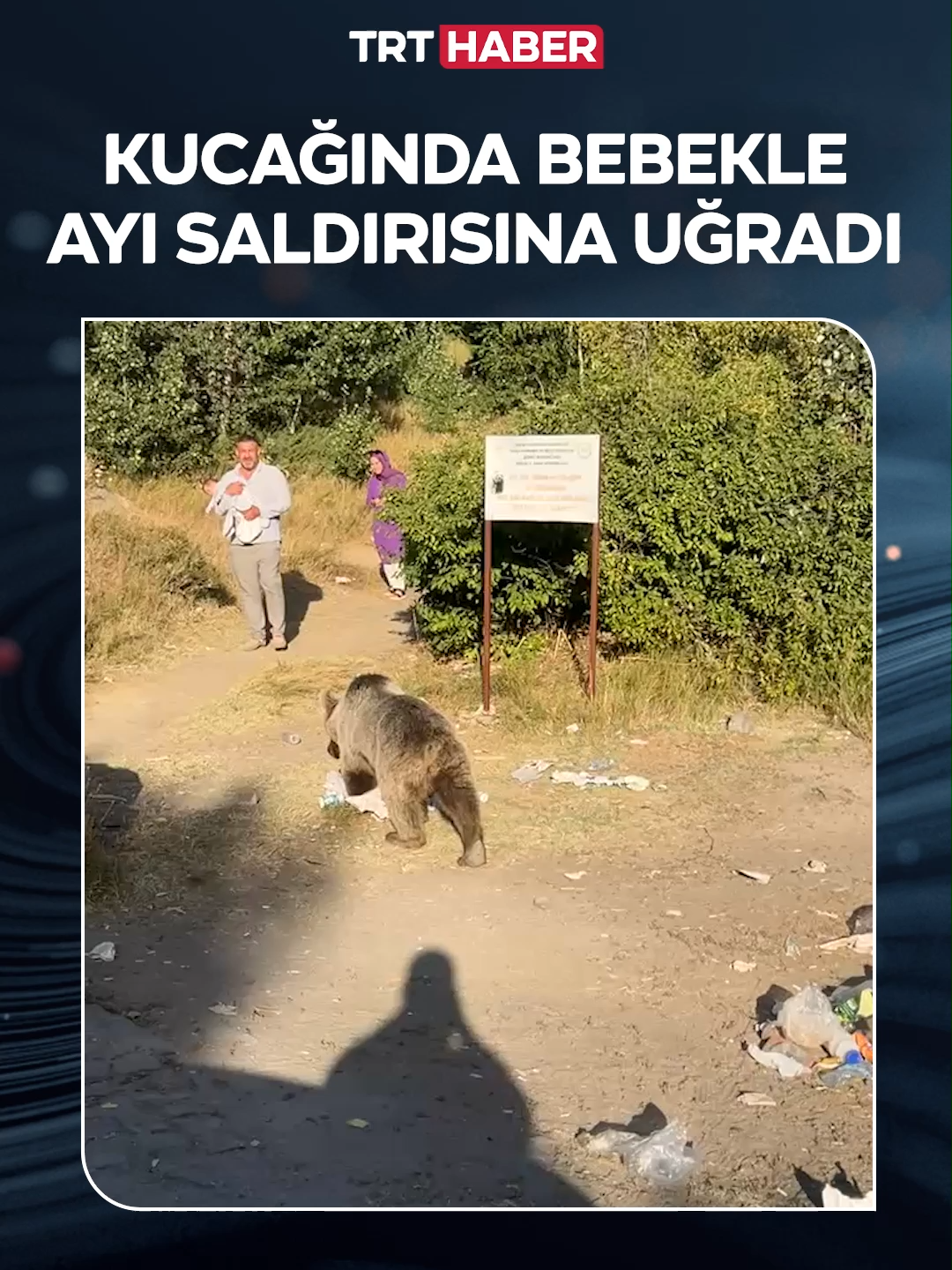 Bitlis'te kucağında bebekle ayının yanından geçen kişi, saldırıdan son anda kurtuldu.