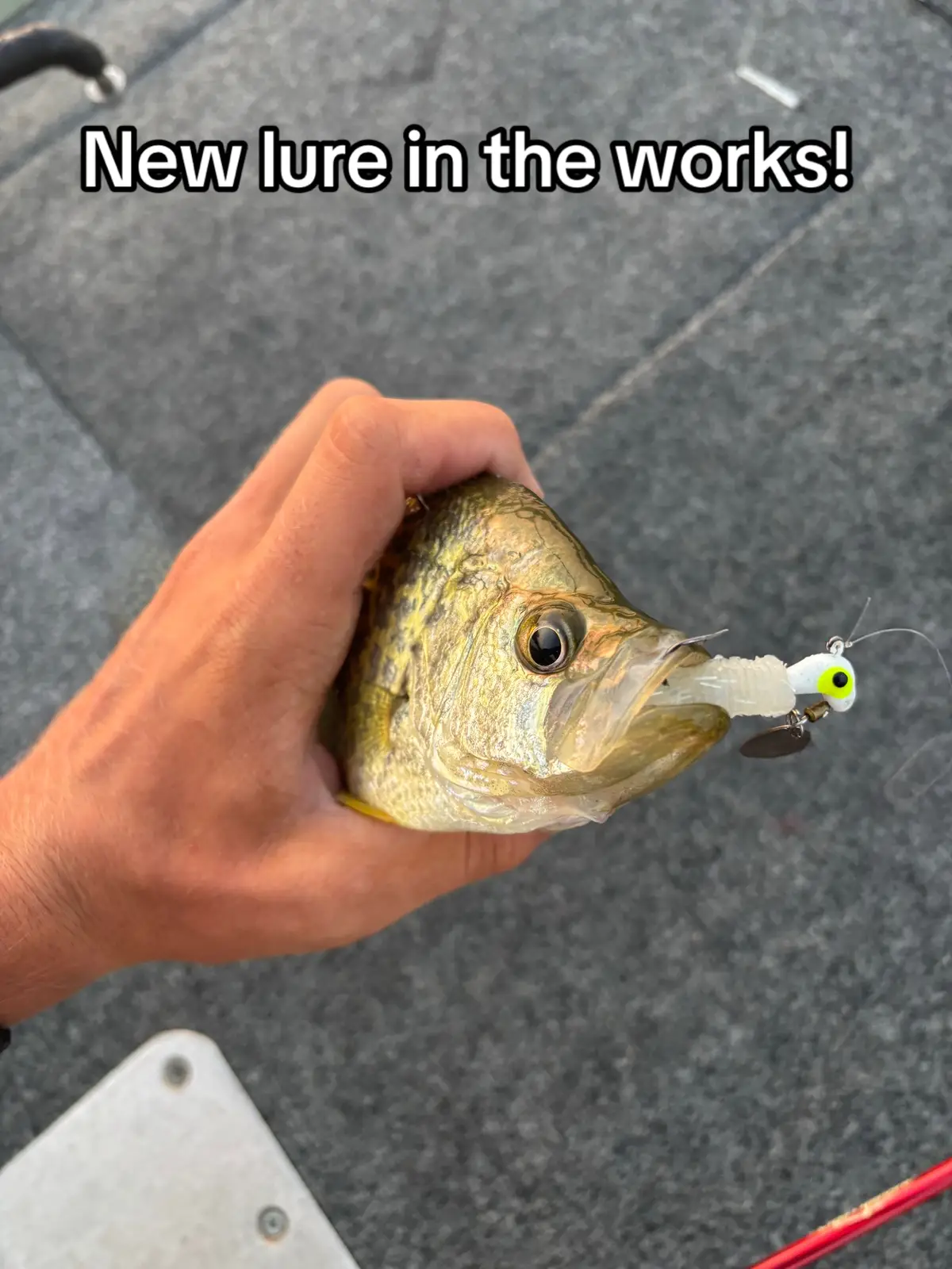 Here’s a little sneak peak on what we have going on behind the scenes! 🔎  We’ve been testing out some variations of one of our lures and let’s just say it PRODUCED! 🔥 Found some things we need to tweak but other than that it preformed great! Looking foward to dropping this lure in the near future! 🎣 #fishing #bassfishing #largemouthbass #tmbaits #fishinglures 