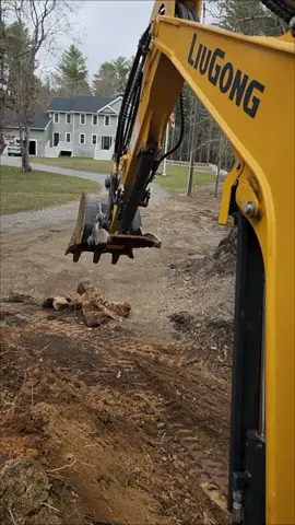 Too much money #liugong #miniexcavator#stumpremoval #bluecollar #mrgeorge 