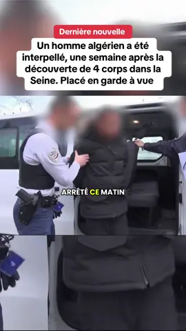 Un homme a été interpellé, mercredi 20 août, une semaine après la découverte de 4 corps dans la Seine. Placé en garde à vue pour 