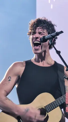 it'll be okay live healed me🤍 #shawnmendes #ontheroadagain #ontheroadagainamsterdam #itllbeokay #shawnmendeslive  @Shawn Mendes @ShawnAccess shawn mendes live in amsterdam - ziggo dome - august 20th 2025 - fyp