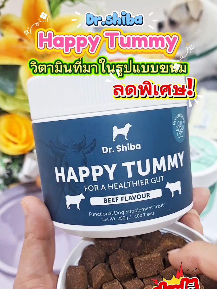 #drshiba #drshibahappytummy #happytummy #happytummydrshiba #ขนมสุนัข 