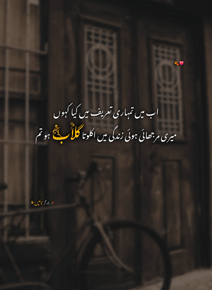 🍂❤️.                                                                                                                                                                                                                                                                                                                                                                                                                                                                                                                                                                                                                                                                                                                                 WhatsApp channel ko follow krain poetry kah Liya or editing tutorial kah Liya Link bio main ha🤍 #dogartypist01 #urdupoetry #urduquotes #poetrystatus #urduline 