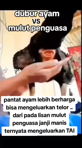 dobol.. 