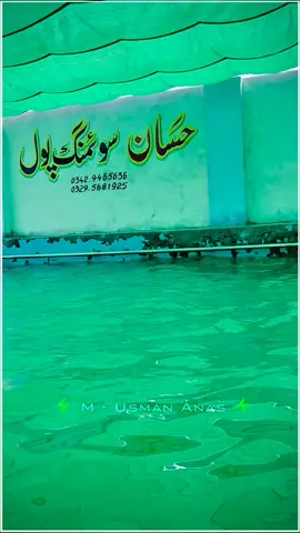 Hasaan Swimming Pool 