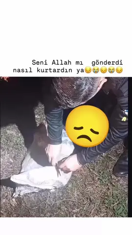 SENİ O ÇUVALA KOYAN IN AQ ALLAH C. C SENİ DARDA BIRAKMASIN İYİKİ İYİ İNSANLARIMIZ HALEN VAR #keşfetbeniöneçıkar #keşfetteyiz #keşfetedüş #tiktokkeşfet 