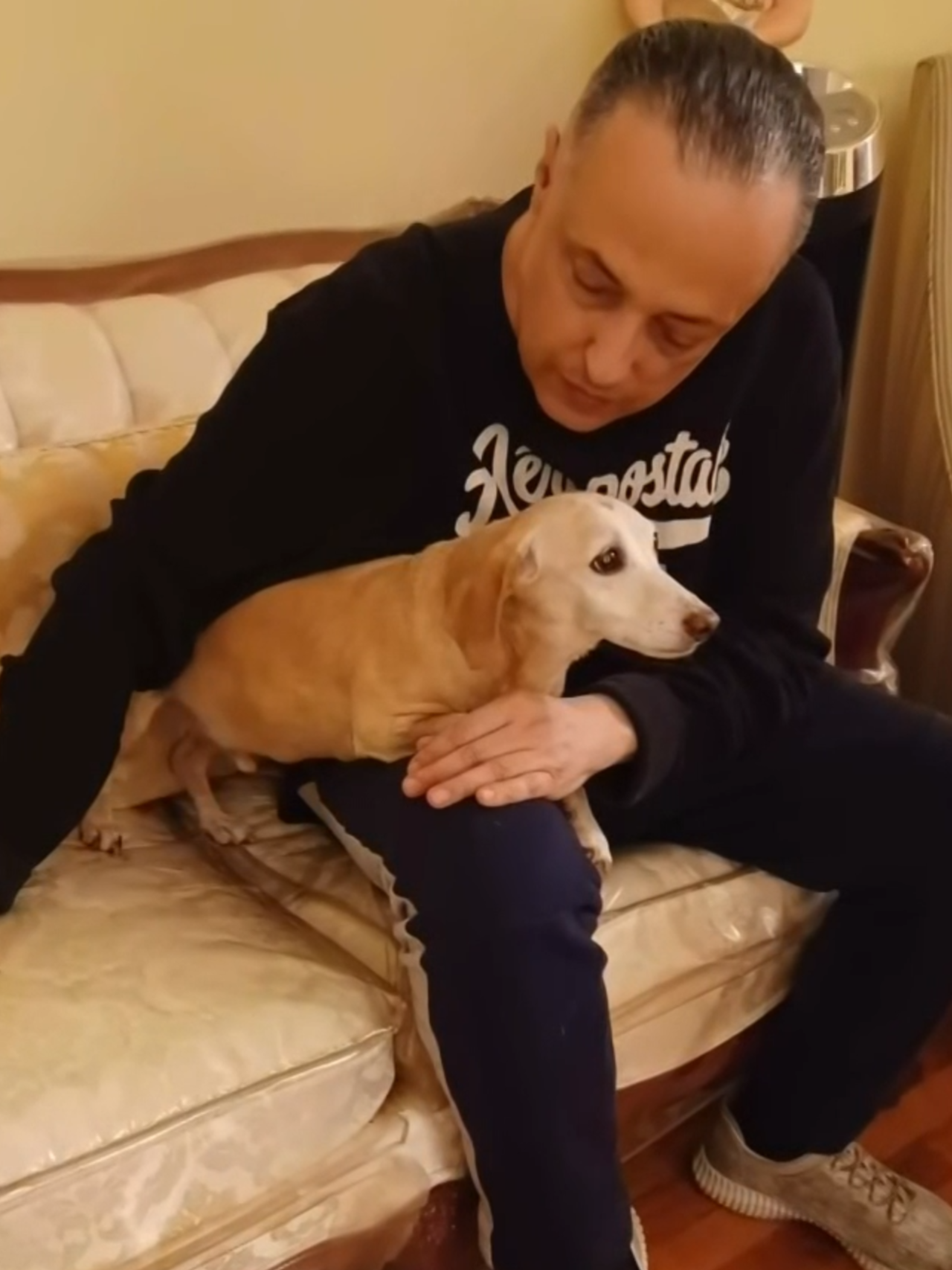 The dog, Bam Bam, who was stolen from a legally blind man’s backyard in Logan Square, was finally reunited with his owner.