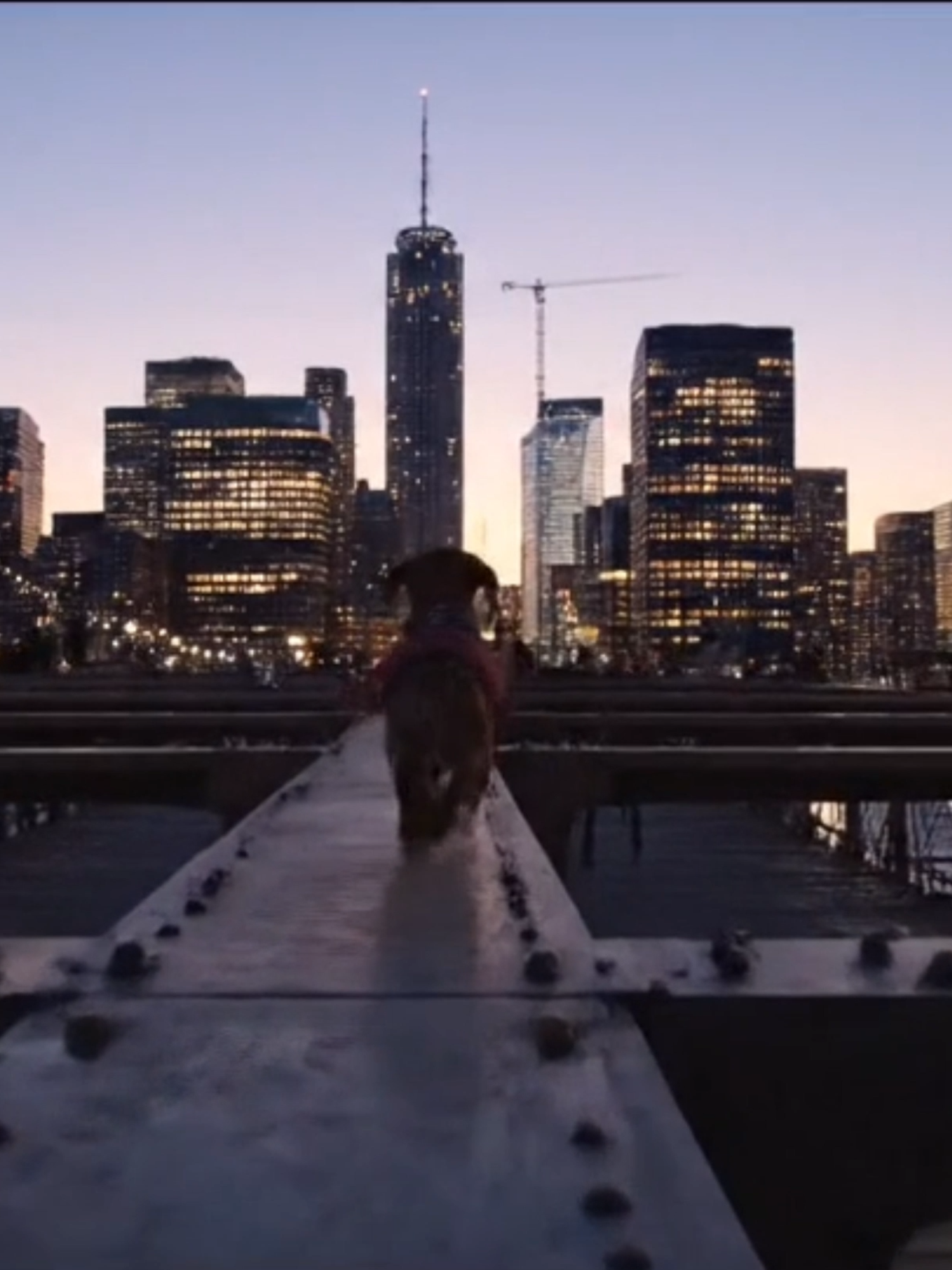 Coco does some fun exploring at The Big Apple... #fyp #doxie #AI #doxiesoftiktok #dachshund #foryou #coco #AiFunny #trip #adventure #Dog #newyork #thebigapple #exploring #timesquare #bigcity