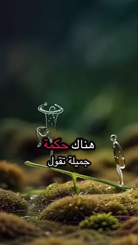 @خـواطــر SAMEH ① @💔حبيبي والزمن ضدي💔 @تولين ❤️ياسر♥️ياسين 