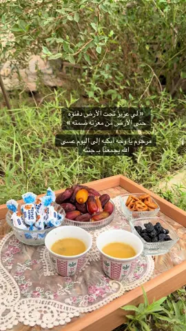‏« لي عزيز تحت الأرض دفنوه  ‏حتى الأرض من معزته ضمته » ‏مرحوم يا وجه أبكيه إلى اليوم عسى  ‏الله يجمعنا بـ جنته#اكسبلورexplore #اكسبلورexplore_o🤭❤_تصويري_فولو #تصويري📸اكسبلوور♥️🙂 