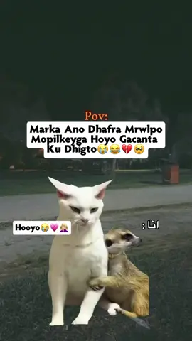 lov sar😂💕#fouryourpage #viewsproblem😭 #nihaa💕 #nihaa💕 #nihaa💕 