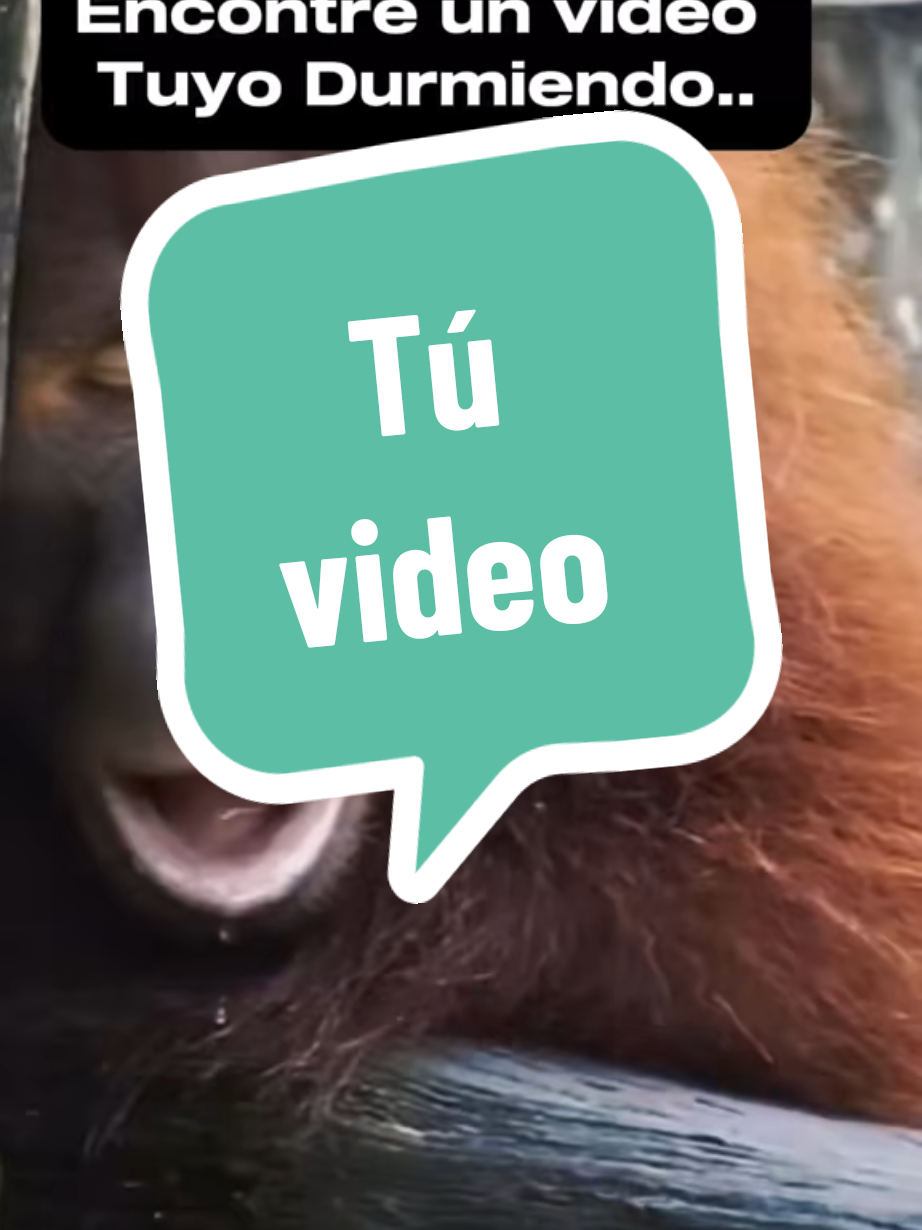 Etiqueta a quien te recuerde...y si eso todos le diremos 