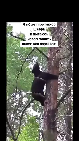 #непроморгайпеченье🍪🍪🍪 #мем 