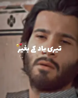 𝙏𝙀𝙍𝙀 𝙔𝘼𝘼𝘿 𝙆𝙀 𝘽𝘼𝙂𝘼𝙄𝙍   😮‍💨❤️‍🩹#foryou #khudaaurmohabbat #ferozkhan #drama #lines #heartbroken #foryoupage #fyp #fypシ゚ #viral #myaccount #100kviews #growthmyaccount #tiktok #samiwri8es 