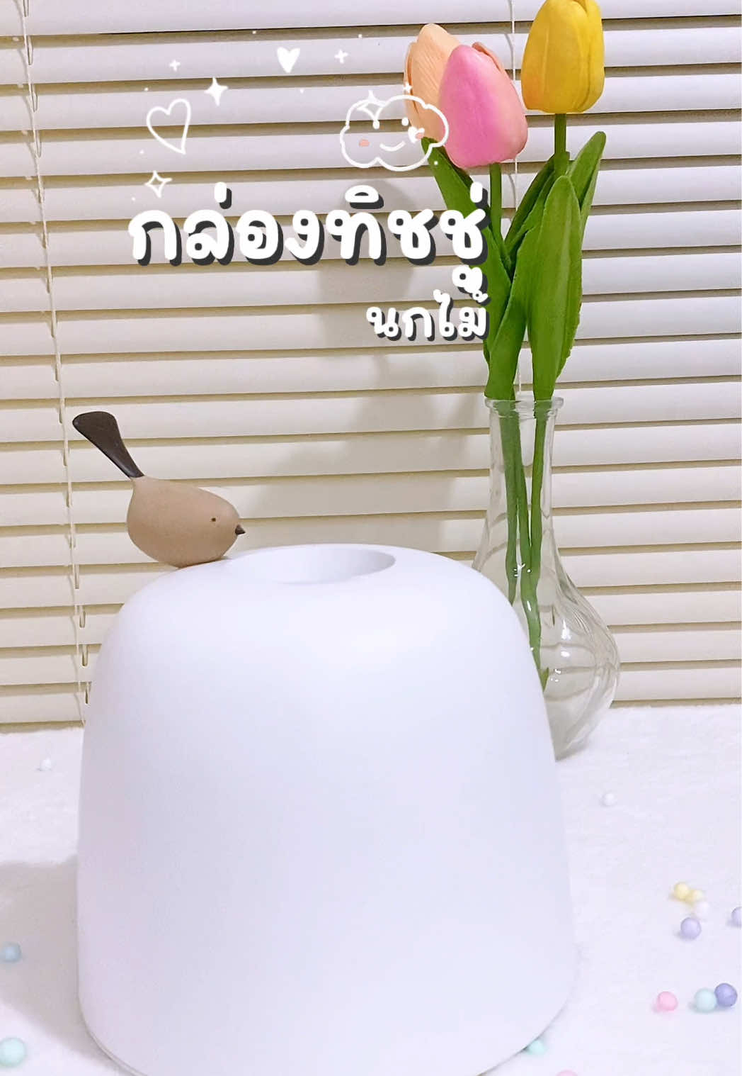 กล่องทิชชู่กลม สีขาว ทรงรังนก มีนกไม้เกาะ มินิมอล กล่องใส่ทิชชู่ กล่องทิชชู่ม้วน #กล่องทิชชู่ #กล่องทิชชู่มินิมอล #กล่องทิชชู่น่ารัก #CapCut 