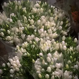 Chợ hoa đẹp luôn ở xa chúng ta 🌷💤