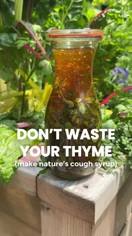 Why this works... 🌿 Thyme contains thymol, a natural compound with strong antibacterial, antifungal, and antispasmodic effects.  🍯 Honey coats the throat, easing irritation and helping to suppress coughs. Want more projects like this? Go to my bio to get the Cool Season Planner and always know what to do in the garden every day, all season long The planner comes with daily instruction, calendars, checklists, and habit trackers-it's all you need to stay on top of your garden this season #garden #thyme #health #herbs #naturalhealing 