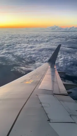 Raw video | ASMR | Korea trip | PAL #airplane #korea #asmr #raw #chrisride 