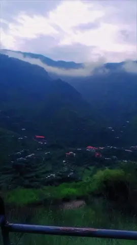 #creatorsearchinsights  #foryoupage village life#❤❤❤ #fypシ゚ #Tiktoktrand #