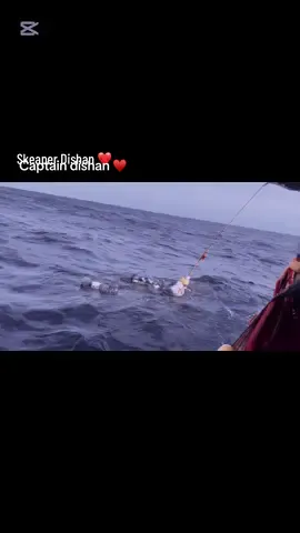 පන්නේ. තරුෂි 39 පන්නේ දේවොල් දේවී පිහිටයි...❤️🙏⚓️ caption Dishan ♥️💪#yyyyyyyyyyyyyyyyyyyyyyyyyyyyyyyyyyyyyyyا #tiktokviralvideoforyoupage #tiktokviral @N I S H U__S 🇱🇰🇦🇪 @@renu@ @Lashi_Emashi ❤️🌈️ @dishanlakmal258 