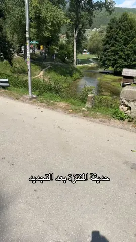 بريدة بعدستي للمزيد تابع الاصفر ✅ #بريدة #القصيم 
