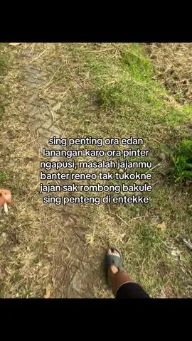 #ardynsyh 