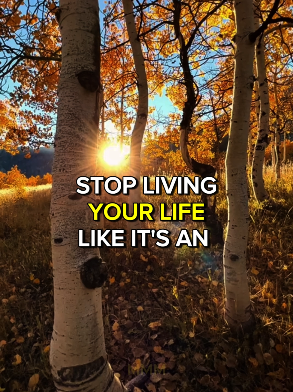 Stop living for their approval. Live for your freedom.✨ . . Live fully, shine unapologetically, and protect your freedom like it’s priceless. . . . Credit: Muniba Mazari . . . #munibamazarispeech #selfgrowth #innerpeace #empowerment #deeptruths 