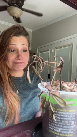 Oops #plantsoftiktok #mybad #fypシ 